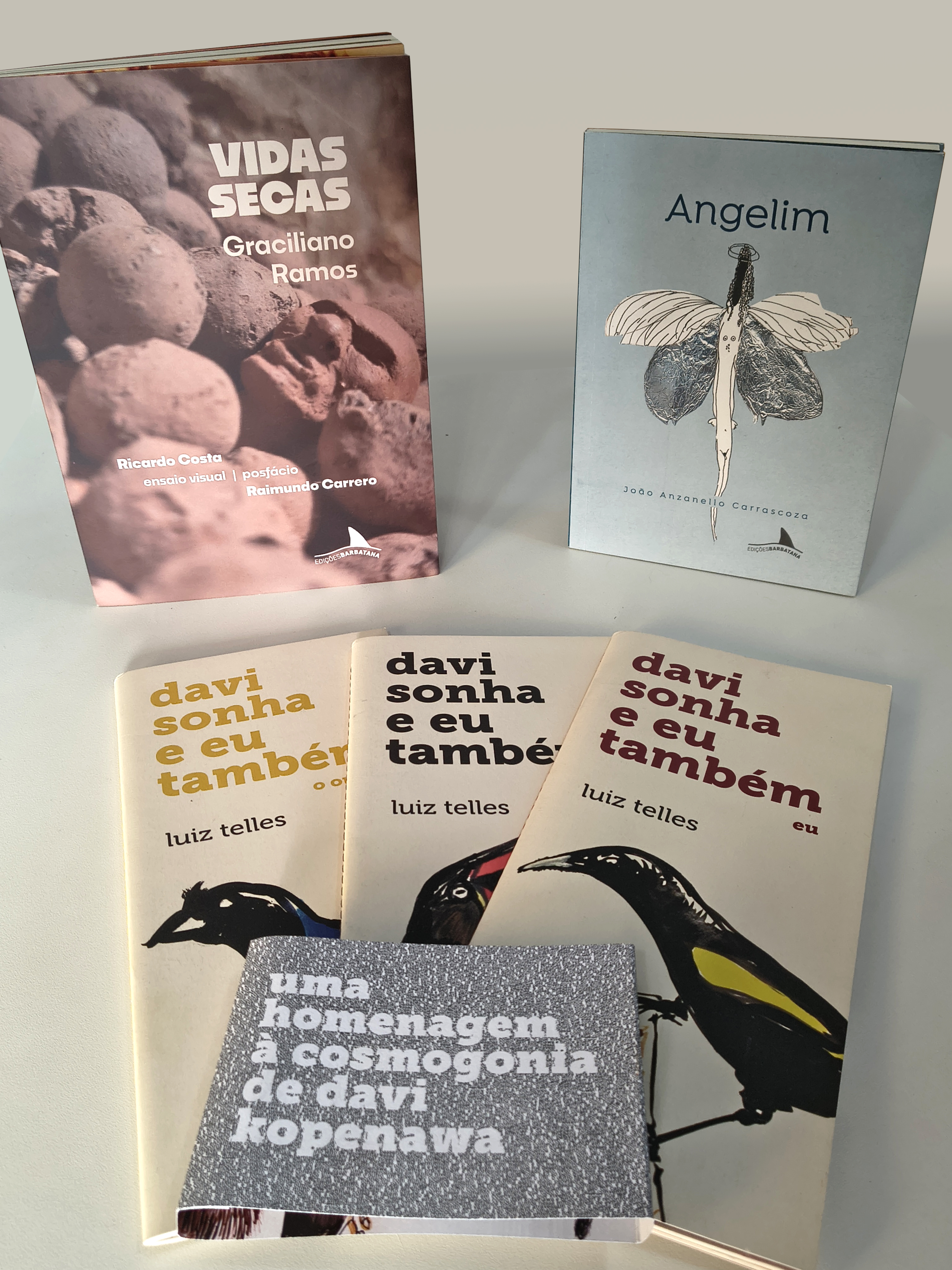 Passar a também lançar literatura brasileira adulta (2025)